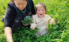 高H粗口调教羞辱SM文女王动画